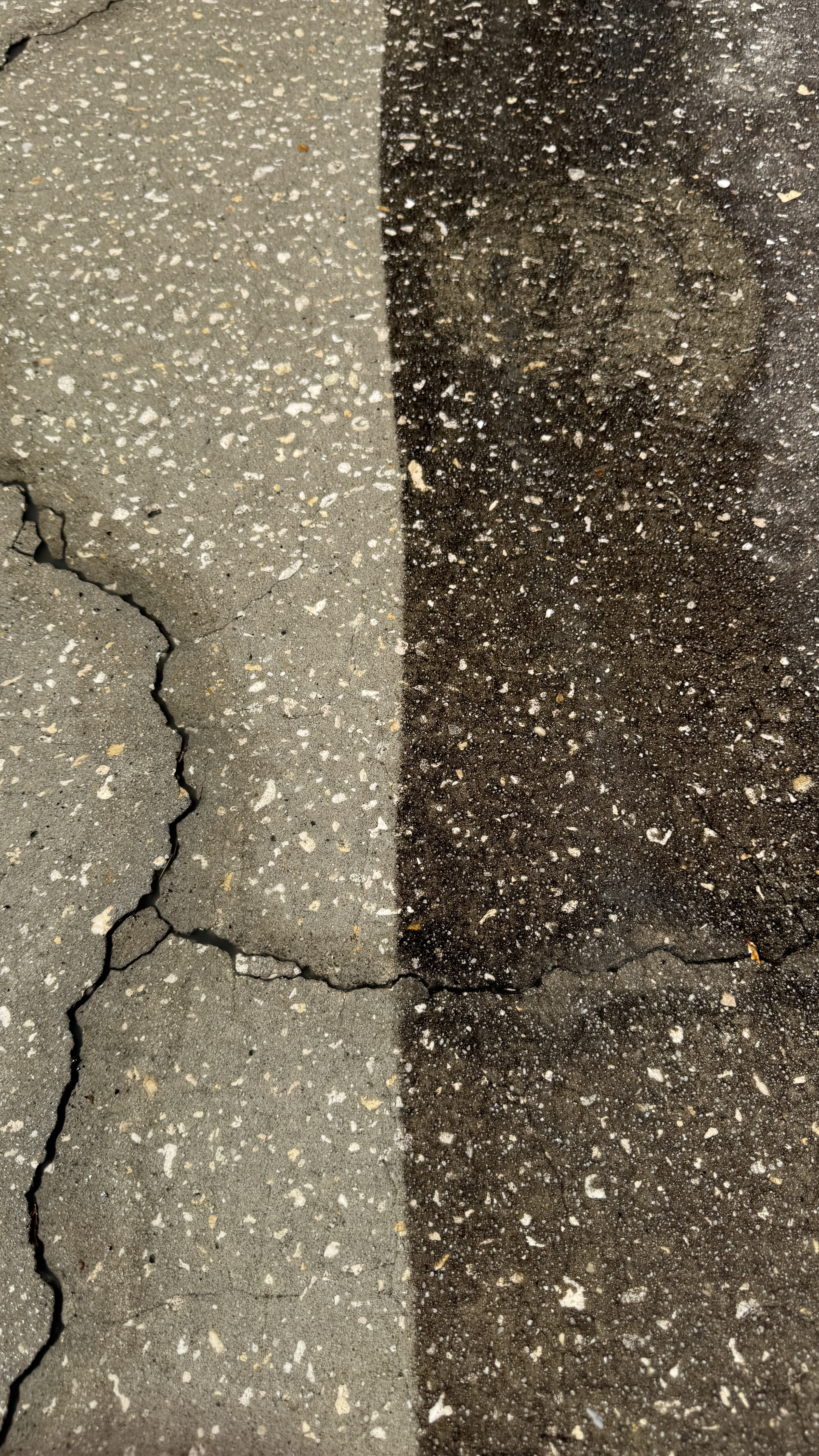 Sidewalk cleaning example in Tampa showing a concrete walkway surface with a cleaned pass