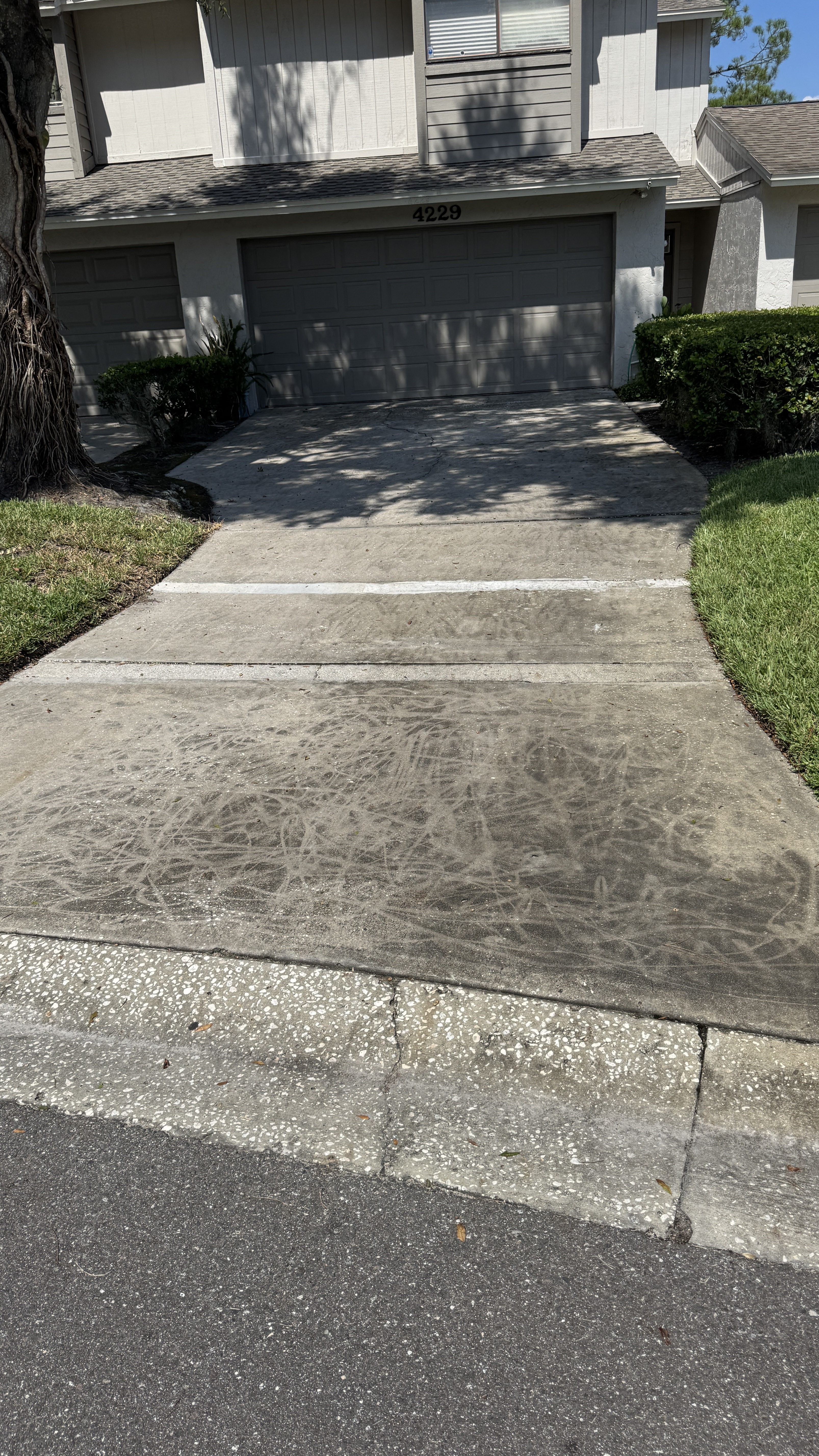 Before driveway pressure washing in Tampa with dark staining and algae buildup on the concrete surface