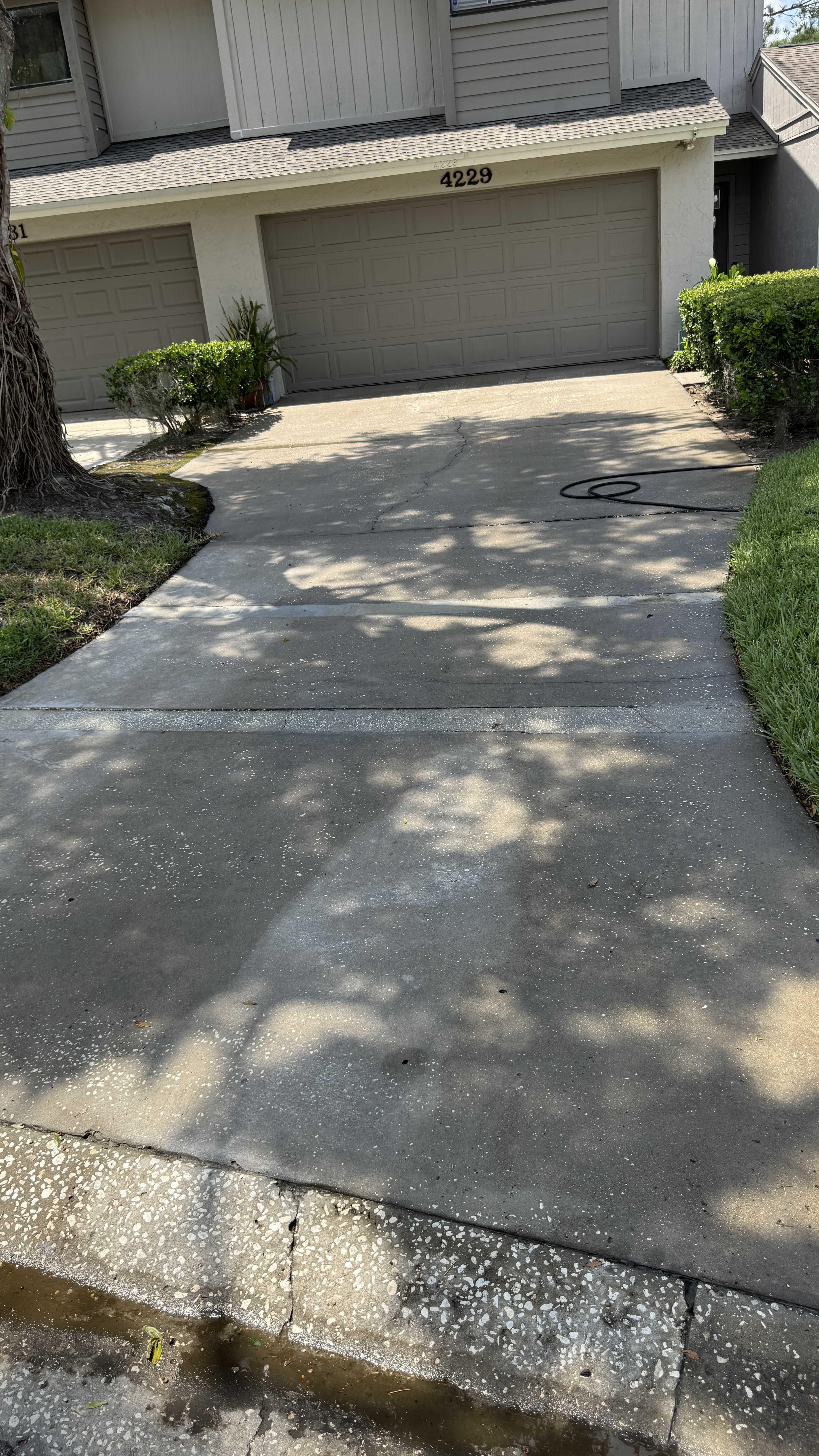 Commercial concrete and exterior surface cleaning example in Tampa