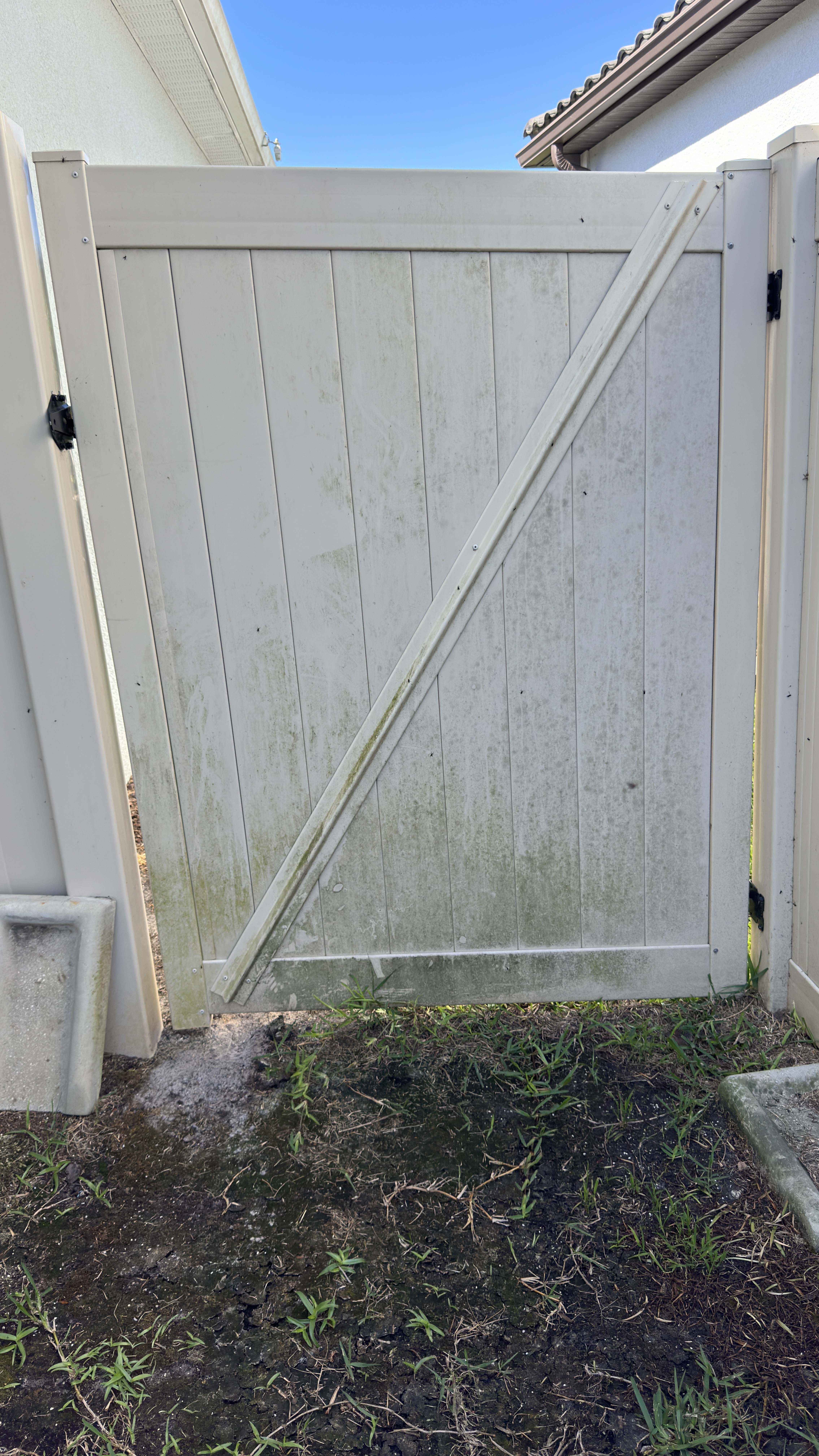 Mildew removal example in Tampa showing green buildup on a vinyl fence surface before cleaning