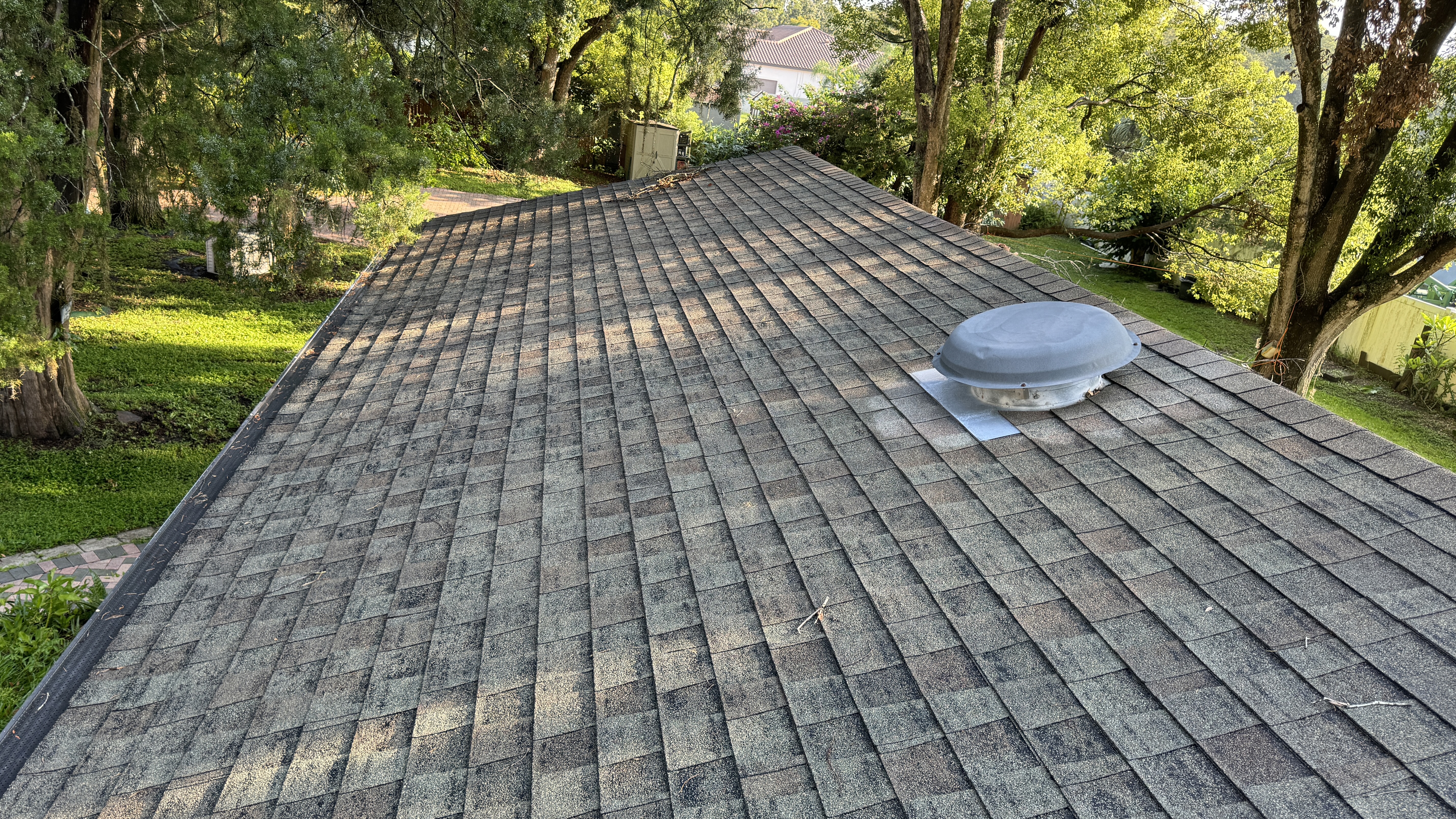 Roof soft washing result in Tampa on an asphalt shingle roof
