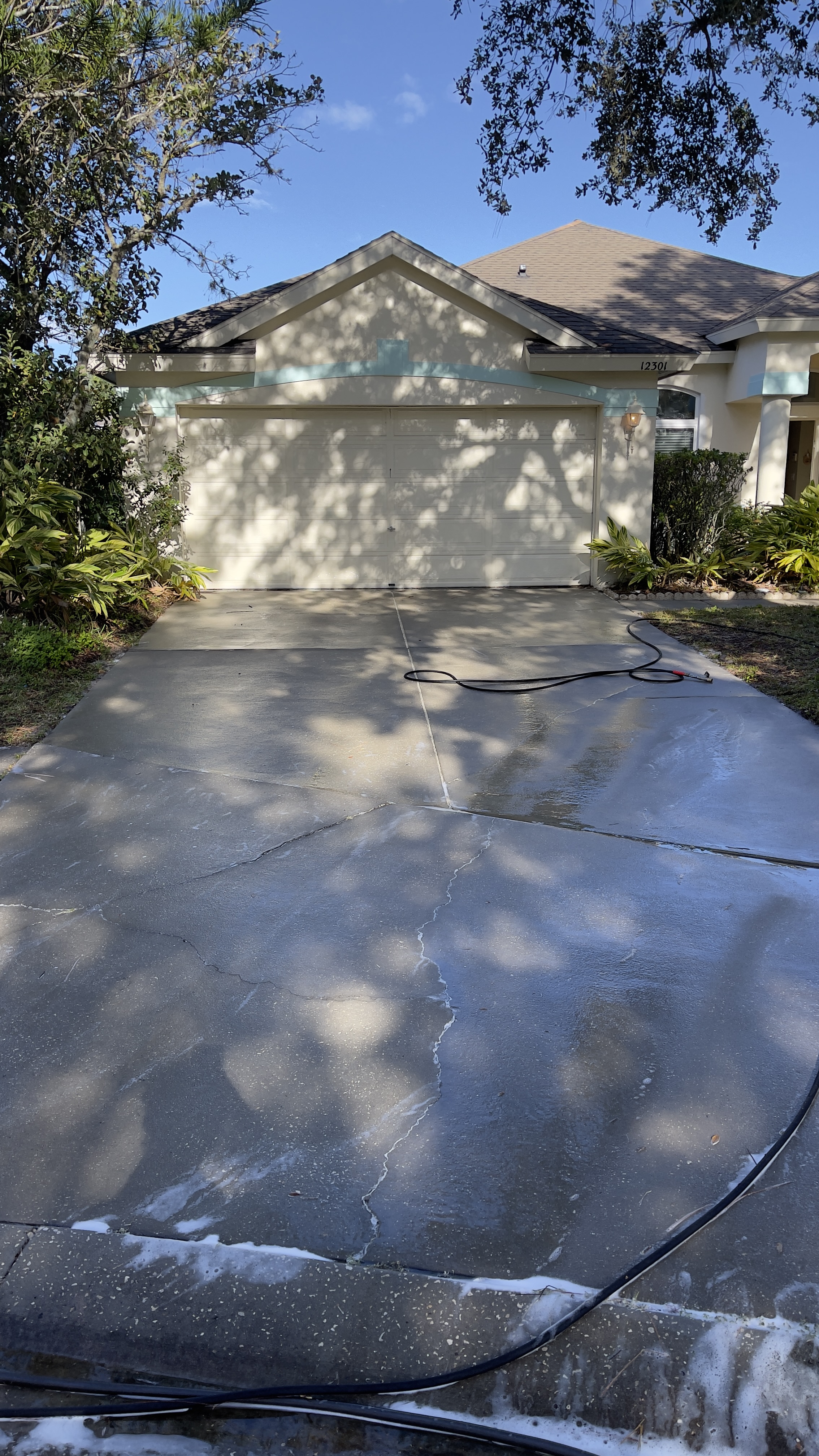 Driveway pressure washing result in Tampa with cleaner concrete