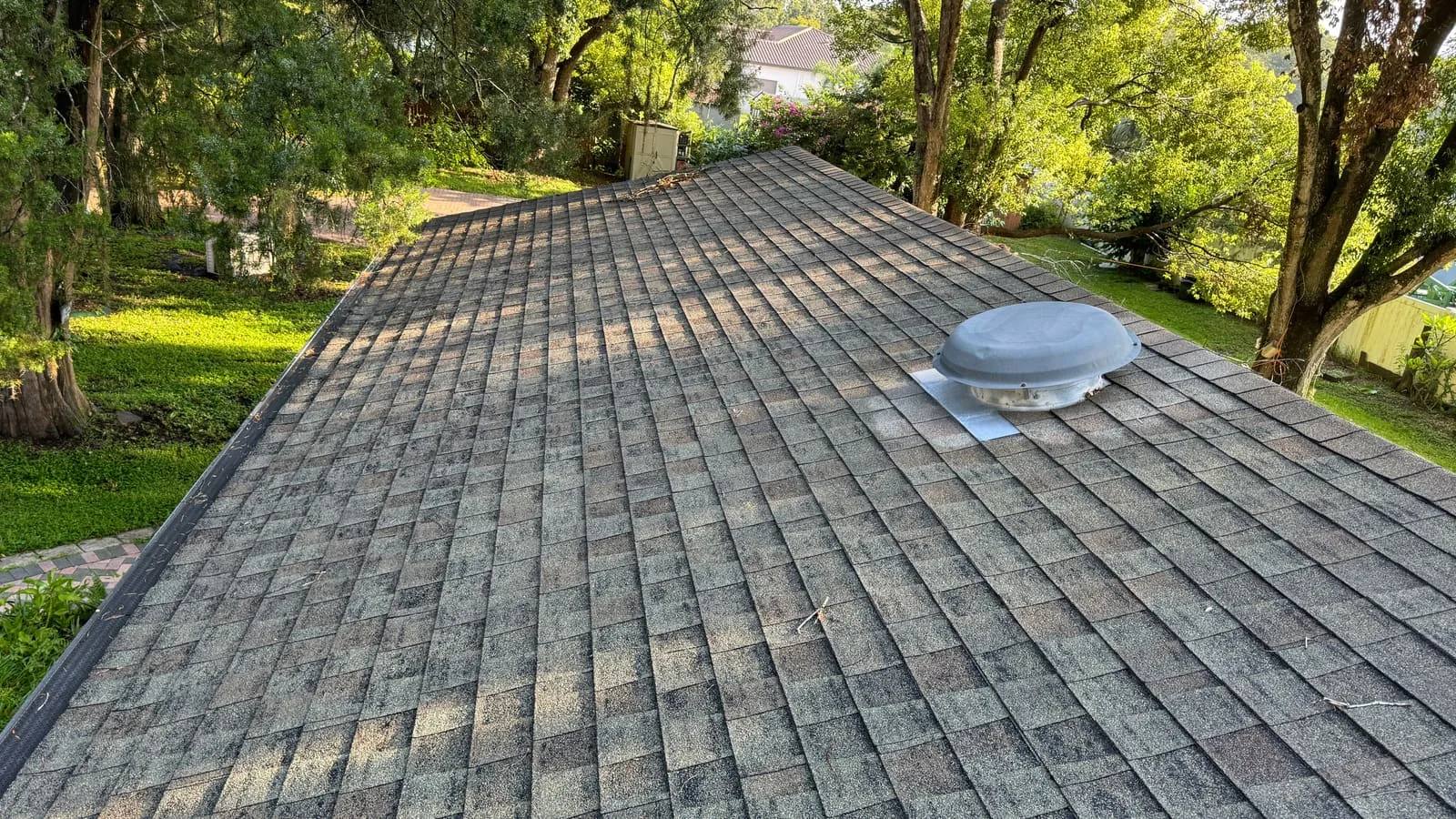 Roof soft washing result in Tampa on an asphalt shingle roof